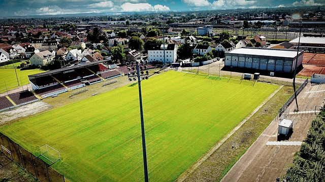 它是美国亚 它是美国亚